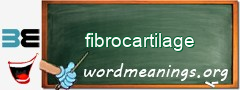 WordMeaning blackboard for fibrocartilage